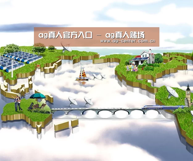 案例展示