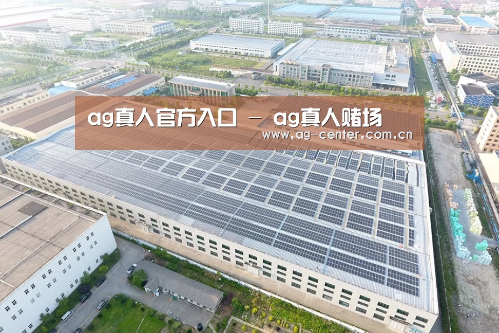 案例展示二