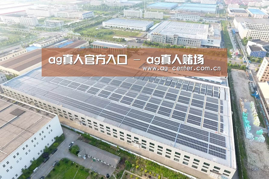 案例展示一
