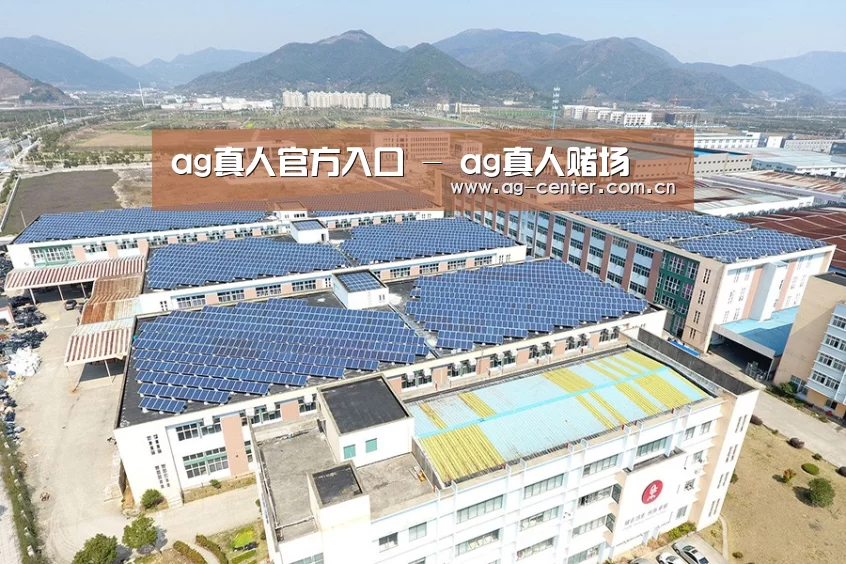 案例展示一