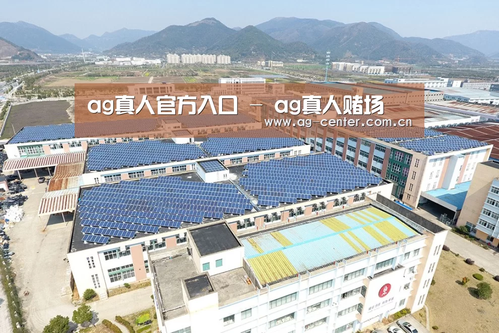 案例展示四