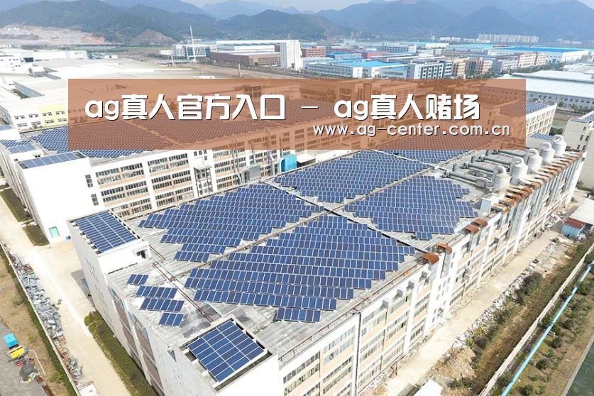 案例展示三