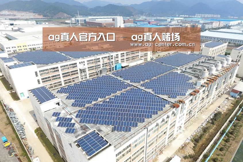 案例展示四