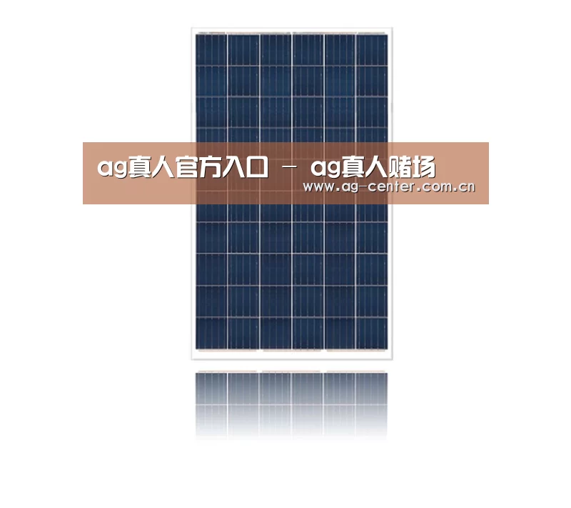 产品名称四