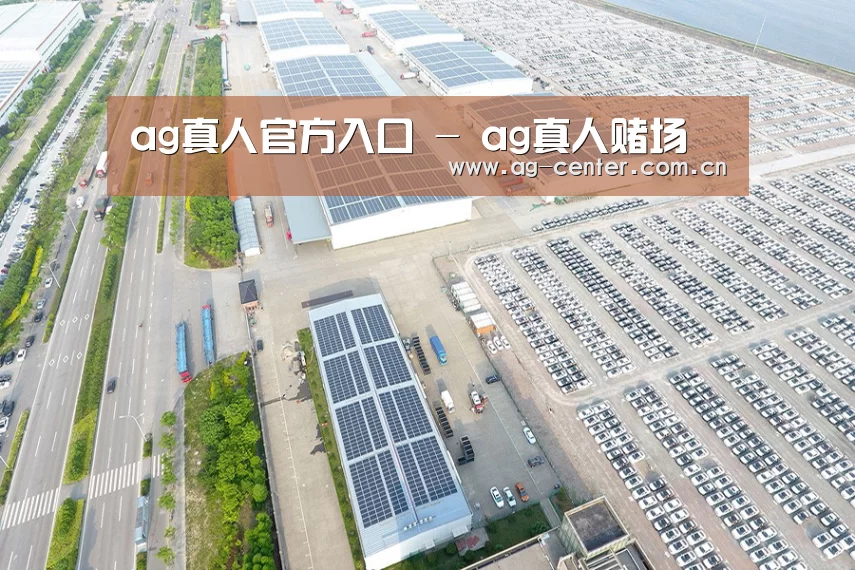 案例展示一