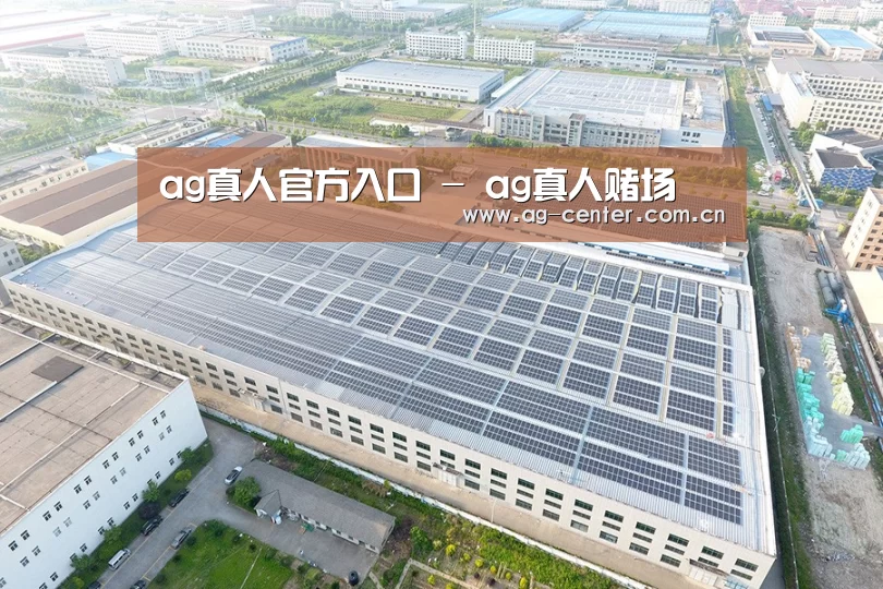 案例展示三