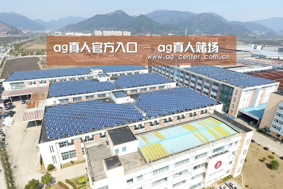 案例展示三