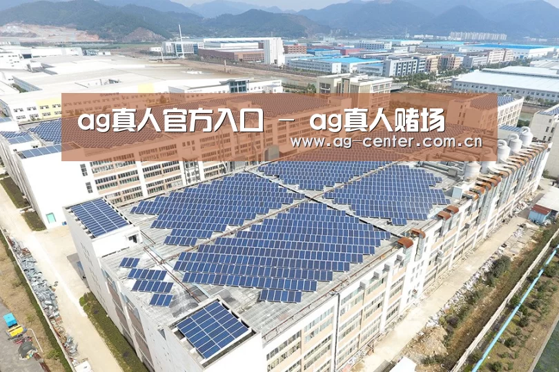 案例展示四