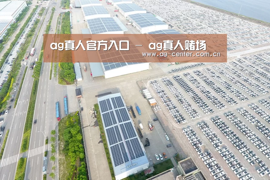 案例展示四