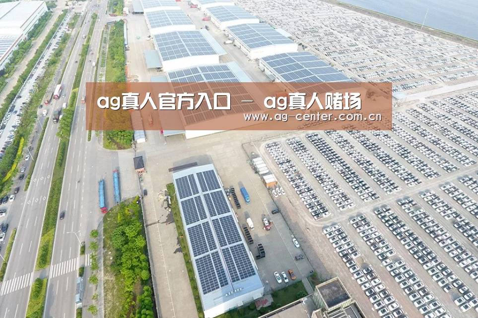 案例展示三