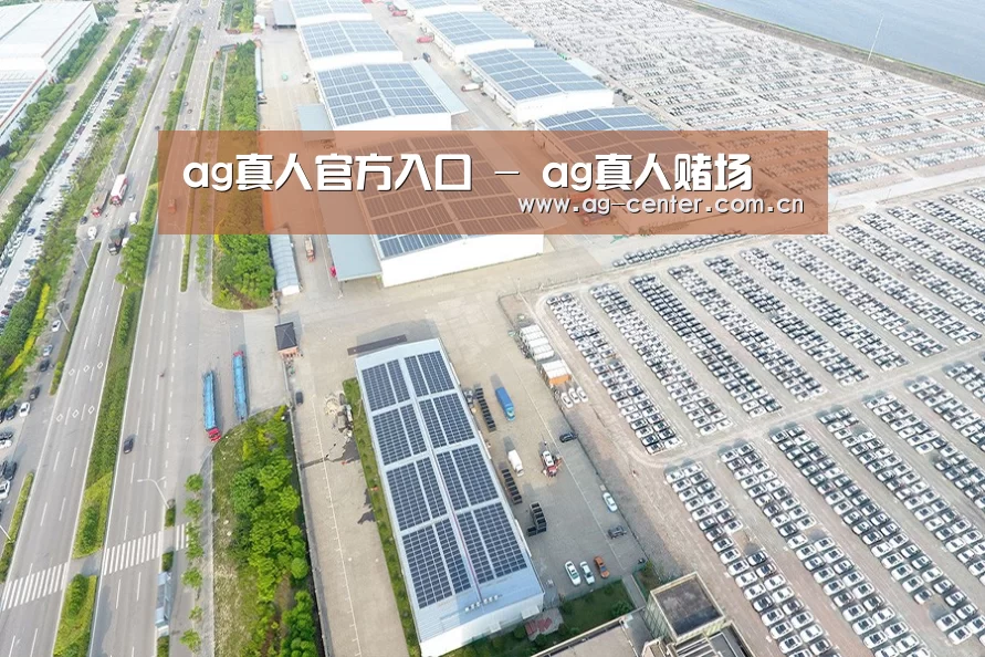 案例展示二