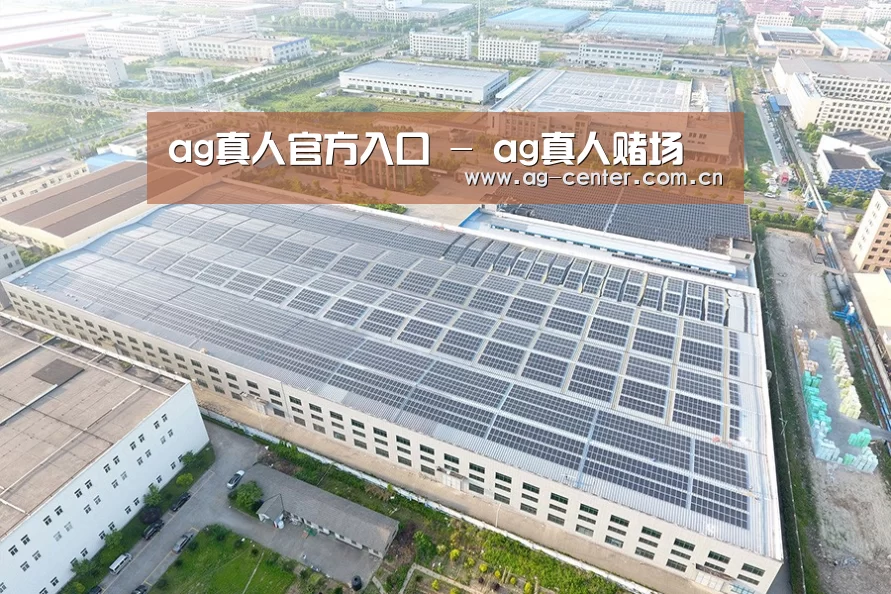 案例展示四