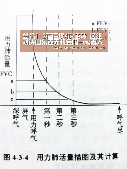 AG真人登录