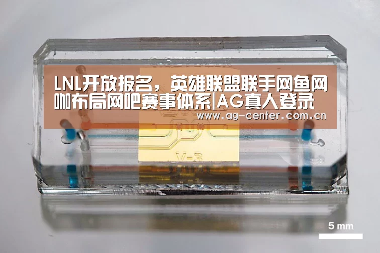 LNL开放报名,英雄联盟联手网鱼网咖布局网吧赛事体系|AG真人登录(图1) AG真人官网